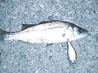 [0009-1000922[2].jpg]