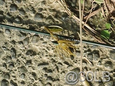 [0021-1001105x400[6].jpg]