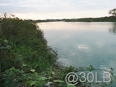 [0025-1001105x400[6].jpg]