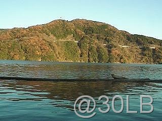 [0005-1001214001214x420[10].jpg]