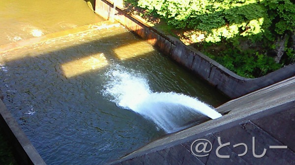 [59505_1219838785[12].jpg]