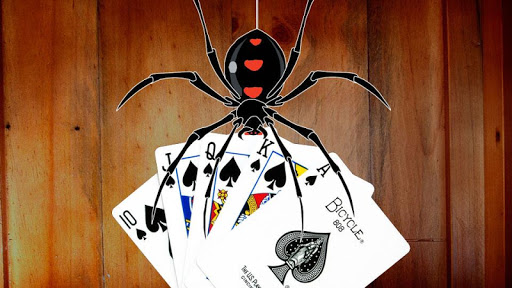 Spider Solitaire