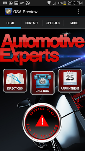 Automotive Experts