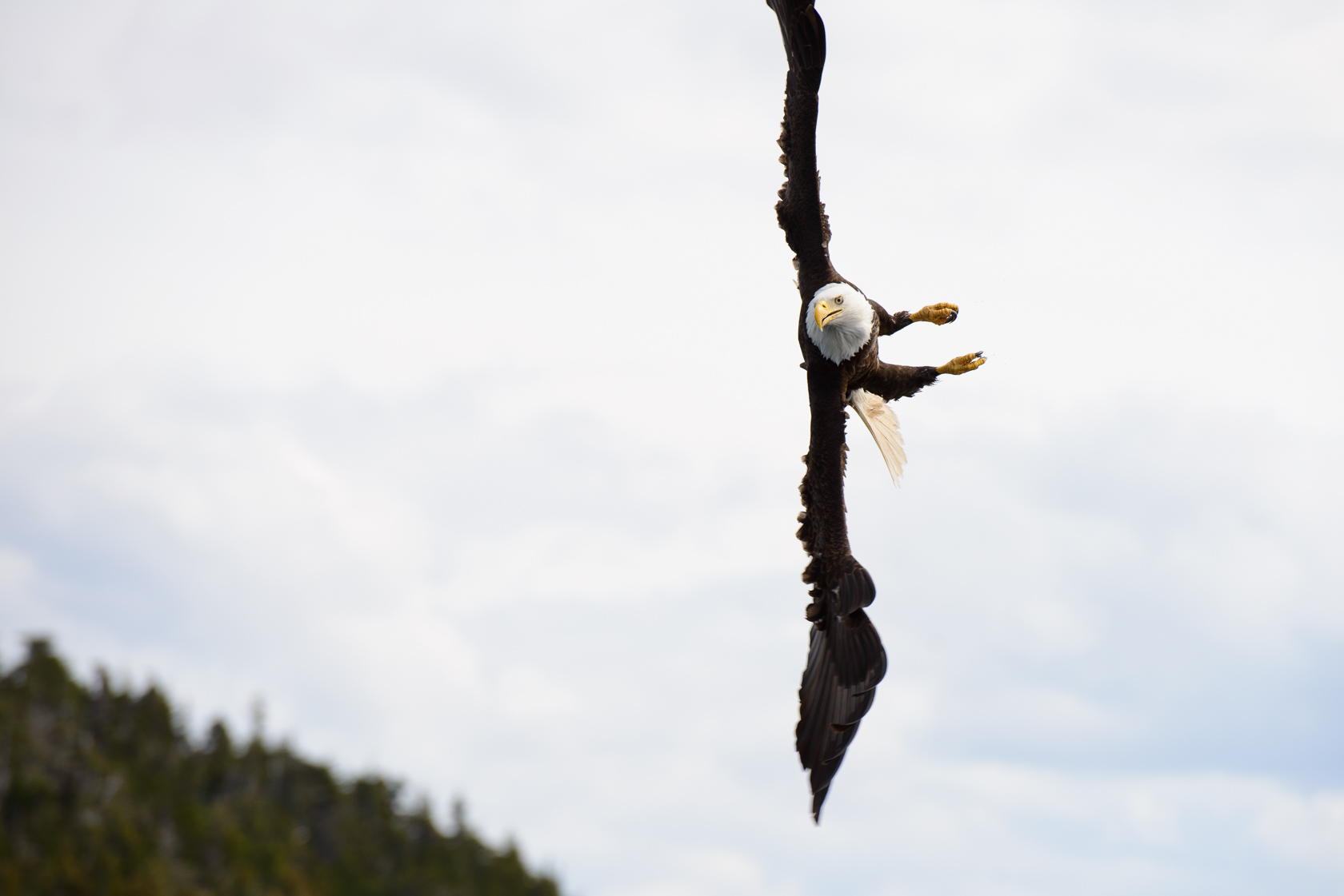 Aerial Maneuvers, Juneau, Alaska