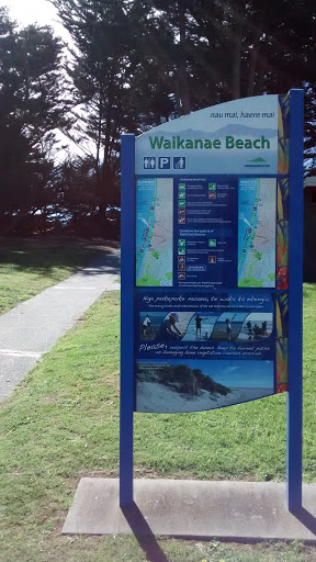 Waikanae Beach