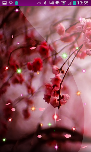 Cherry Tree New HD LWP