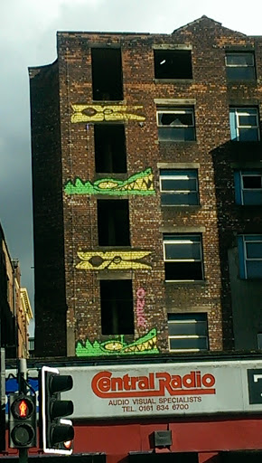 Crocodile Clip Mural