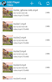 GSE VIDEO PLAYER poster 8