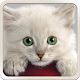 Cute Cat Wallpapers APK