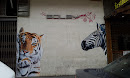 Tigre and Cebra