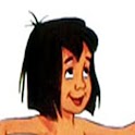 THE JUNGLE BOOK