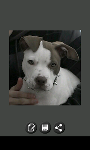  Añadir texto a foto: miniatura de captura de pantalla  