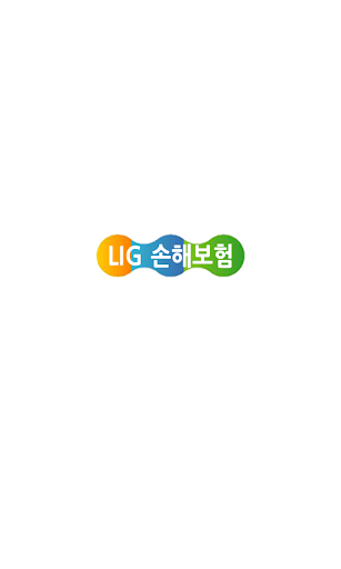 LIG 손해보험 정용규