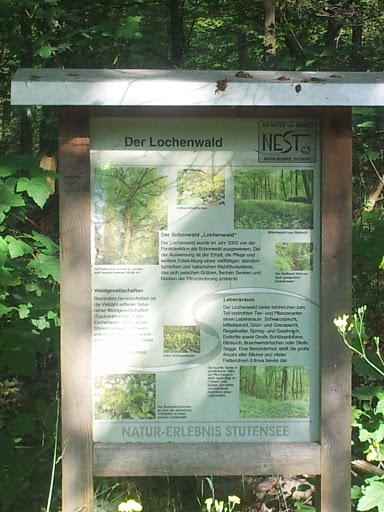 NEST Der Lochenwald