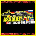 Assault Rifle Pro