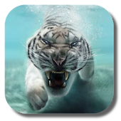Tiger Live Wallpaper
