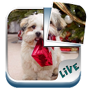Live Animals Puzzle mobile app icon