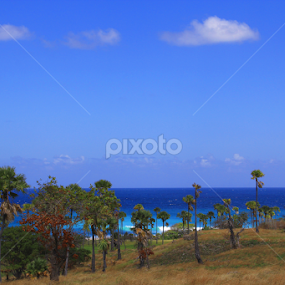 Pantai NTB by IMAGHERY PHOTOWORK - Landscapes Beaches