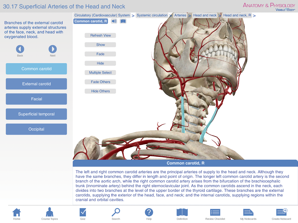 Anatomy & Physiology Android Apps on Google Play