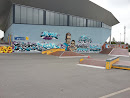 Skate Park Arras
