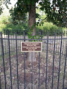 Hyattsville Centennial Memorial Park