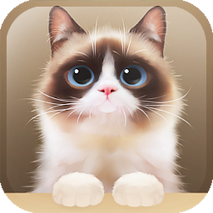 Shui The Kitten Lite 1.1.4