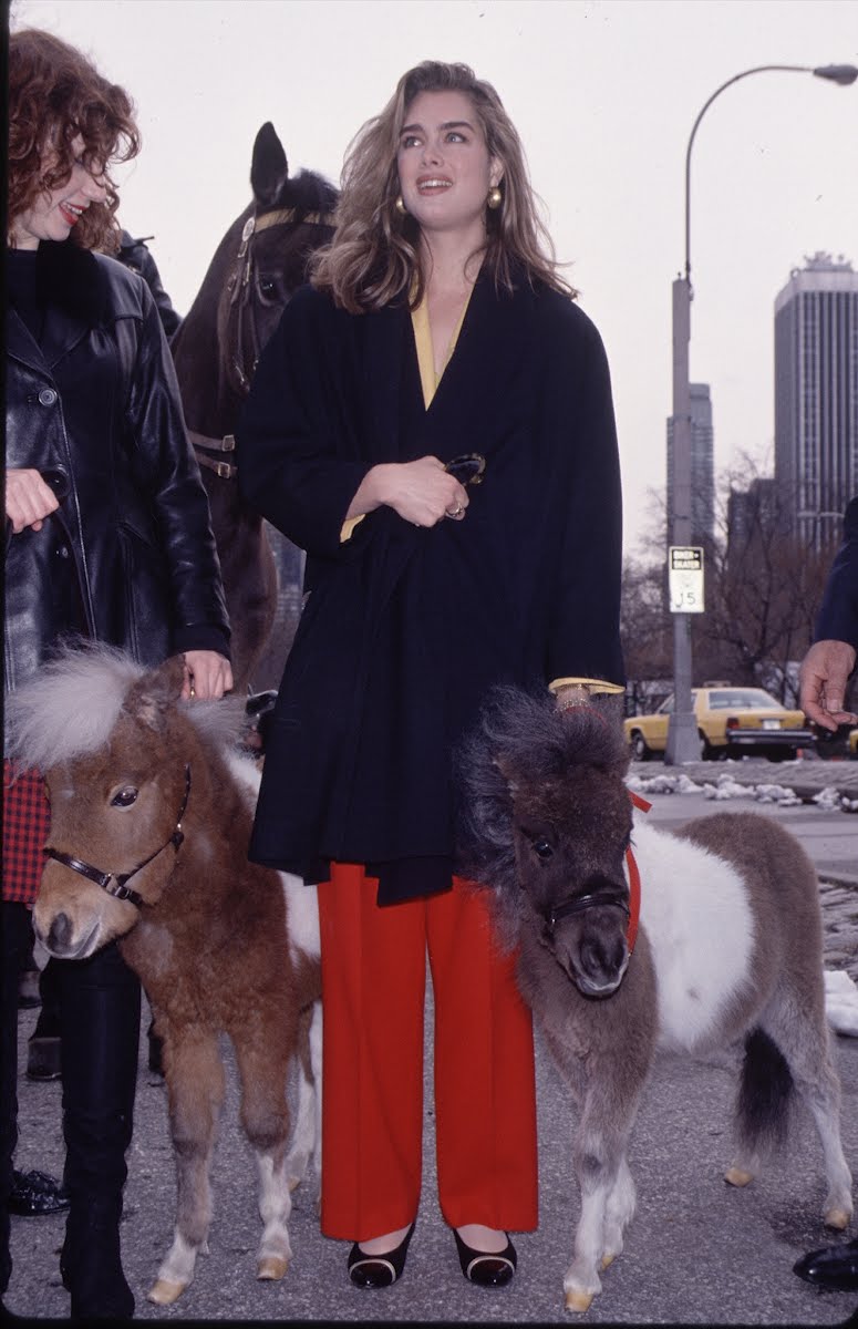 Brooke Shields 1984-1993 — Google Arts & Culture