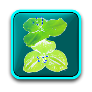 Garden: Flowers free 1.1