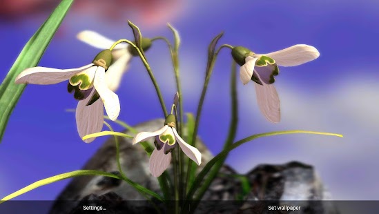 Nature Live: Spring Flowers XL - screenshot thumbnail