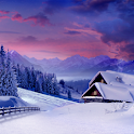 Winter logo