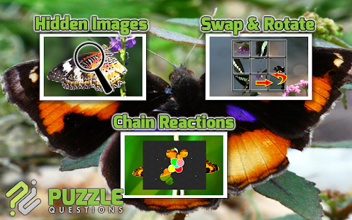 Free Butterfly Puzzle Games Screenshots 7