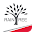 Raintree Download on Windows