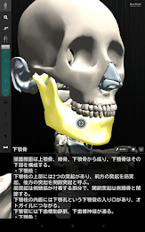 teamLabBody Lite poster 3