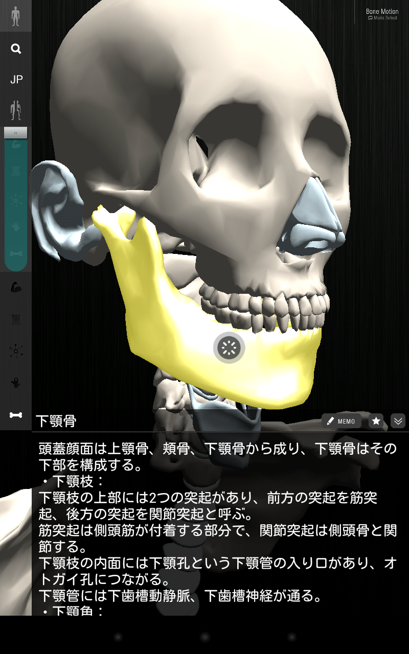 teamLabBody Lite Screen 3