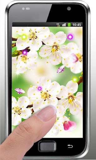 免費下載個人化APP|Apple Blossom Nice HD LWP app開箱文|APP開箱王