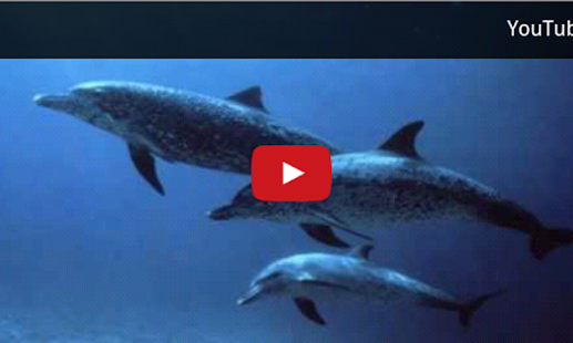 Ocean Music for Kids Screenshots 3