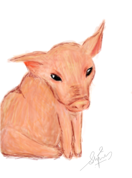 Oink 