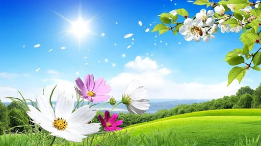 Fresh Spring HD Live Wallpaper