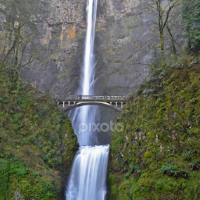 multnomah falls by Brent Huntley - Landscapes Waterscapes