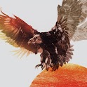 Snow Patrol logo