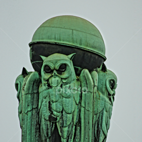 owls by Zlatko Ivancok - Buildings & Architecture Statues & Monuments