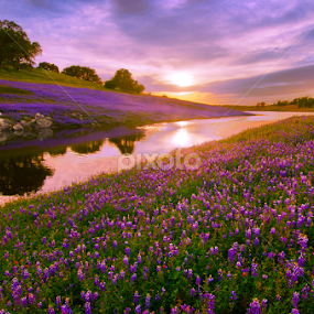 by Dustin Penman - Landscapes Prairies, Meadows & Fields