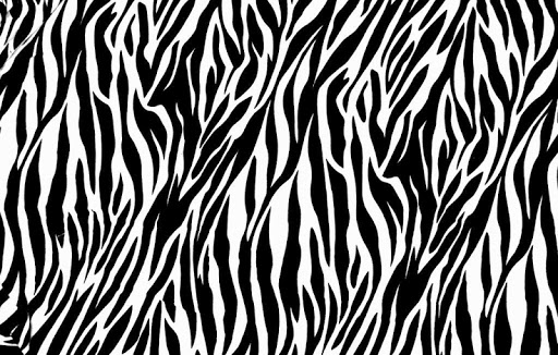 Zebra Print Wallpapers HD