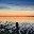Transition Live Wallpaper Download on Windows