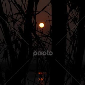 Sunset by Dong Bui - City,  Street & Park Skylines