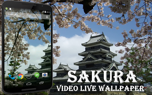 Sakura Video Live Wallpaper