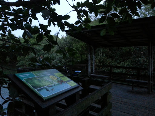 Mangrove Bird Viewing Pavilion