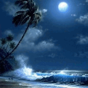 Beautiful Sea Live Wallpaper logo