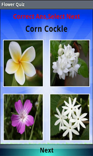 【免費解謎App】Flower Quiz-APP點子