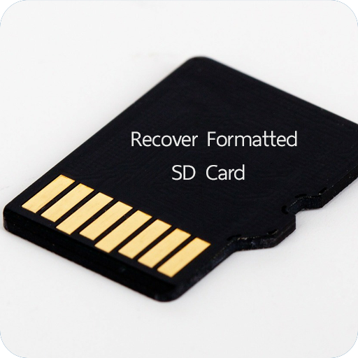 Recover Formatted SD Card